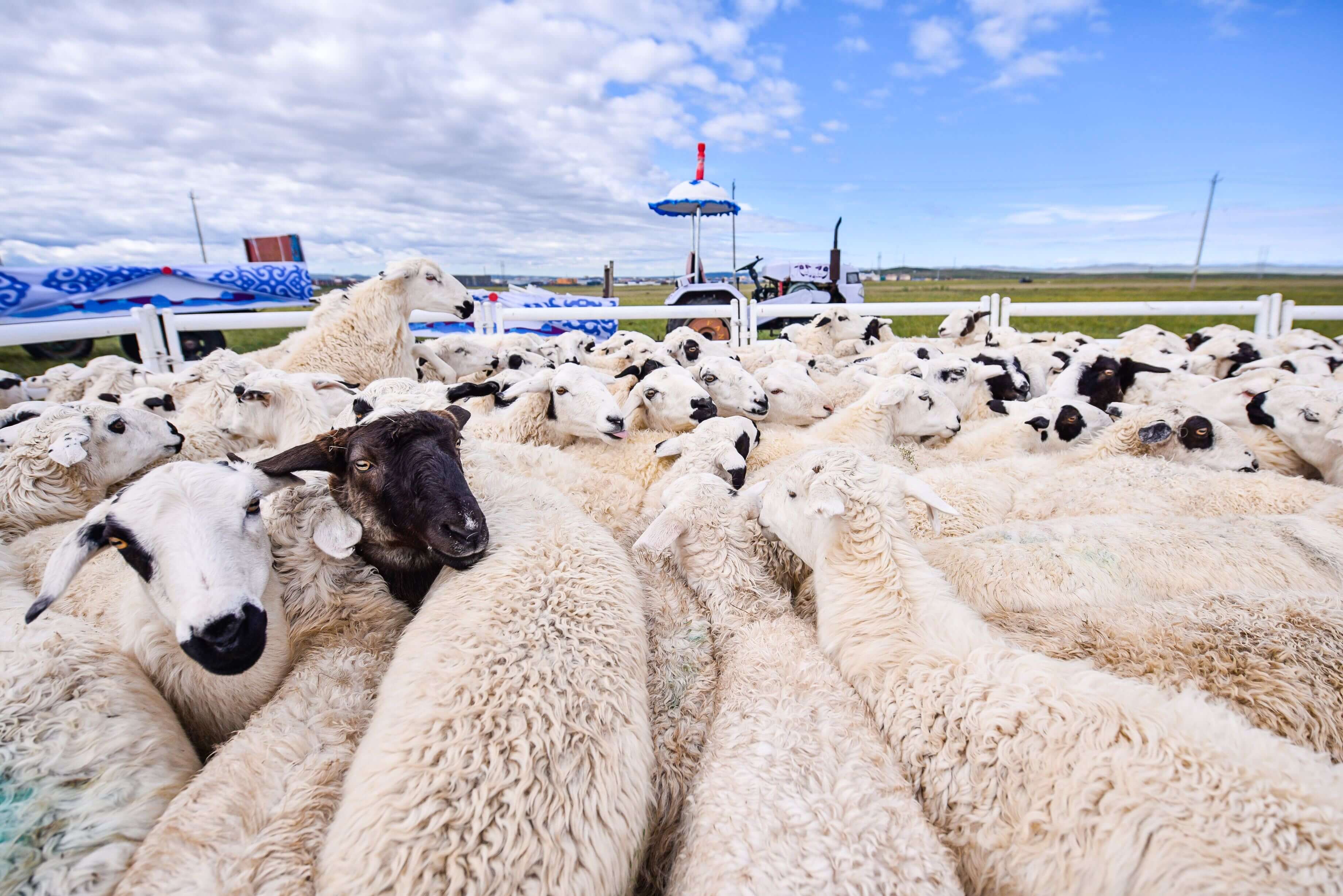 贵金属协议无持仓客户是什么